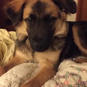 Meet your Posher, Sonja